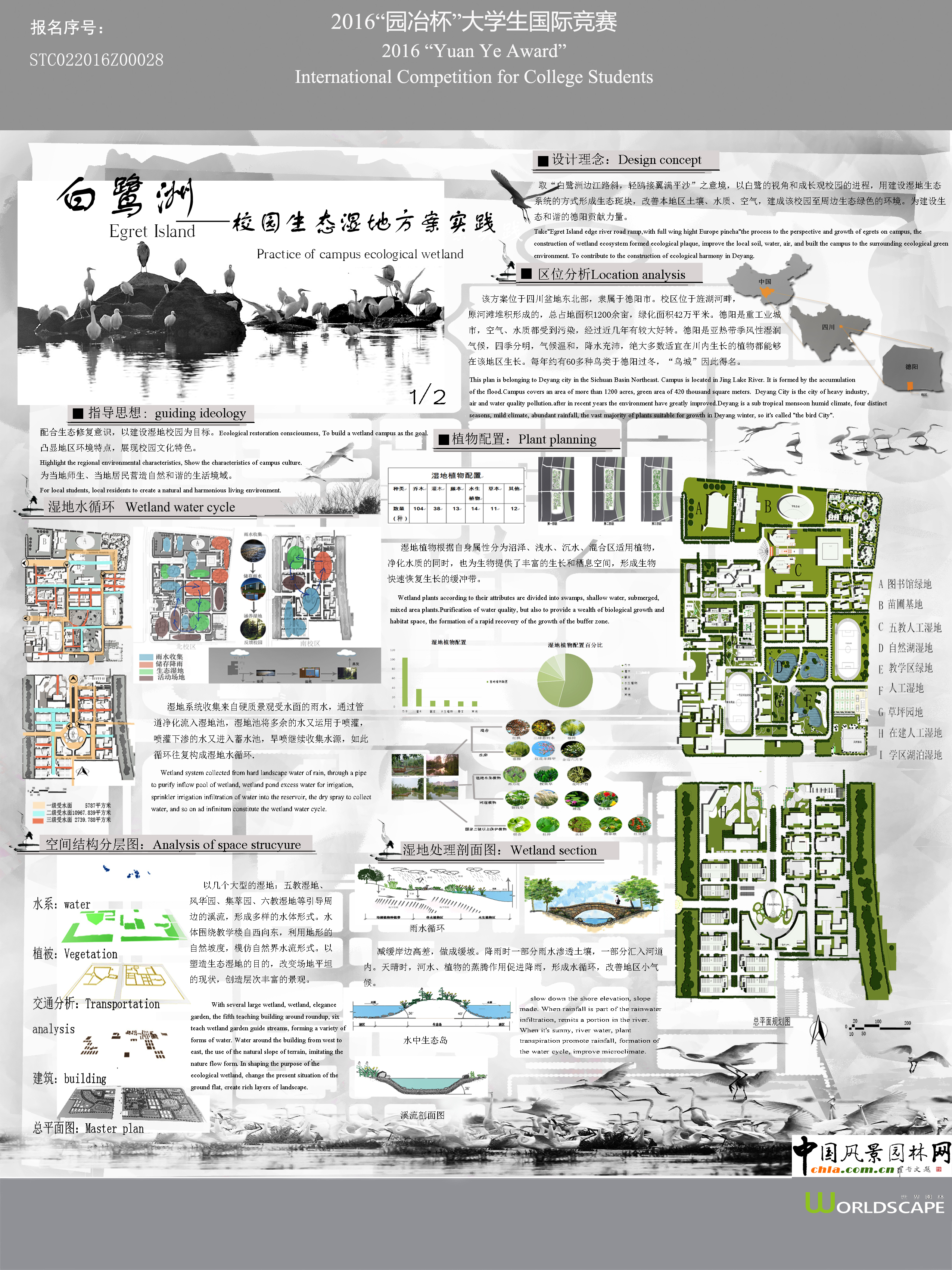白鹭洲-校园生态湿地方案实践