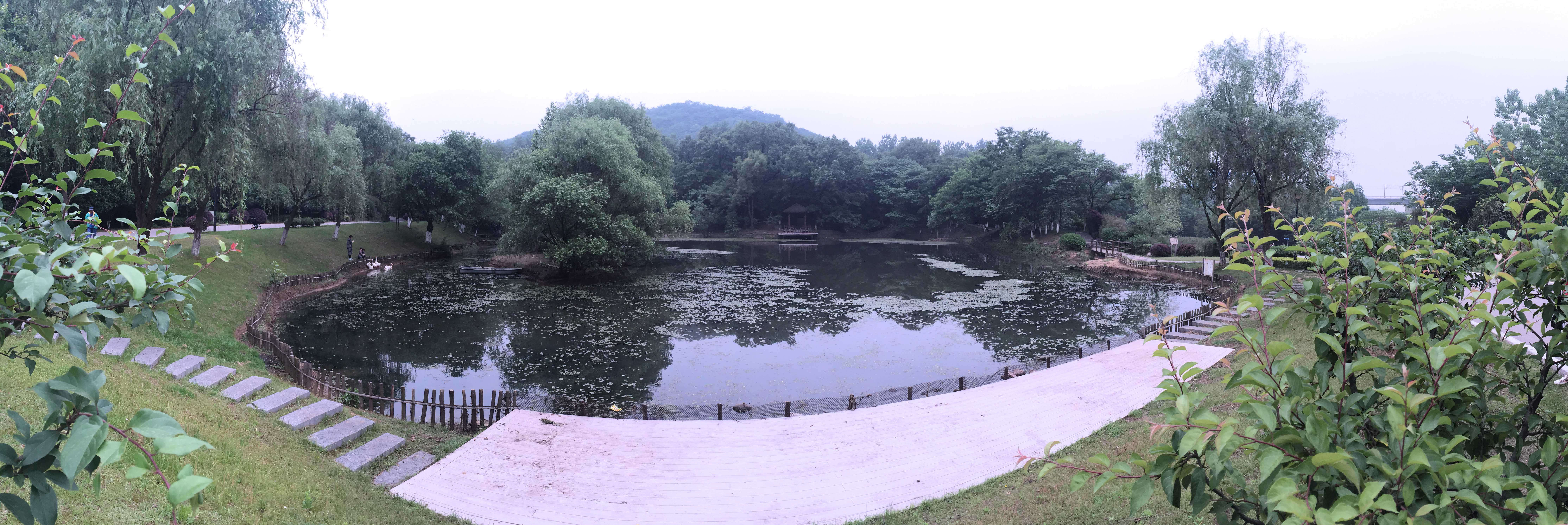 言叶之庭 •  静心湖康复景观设计