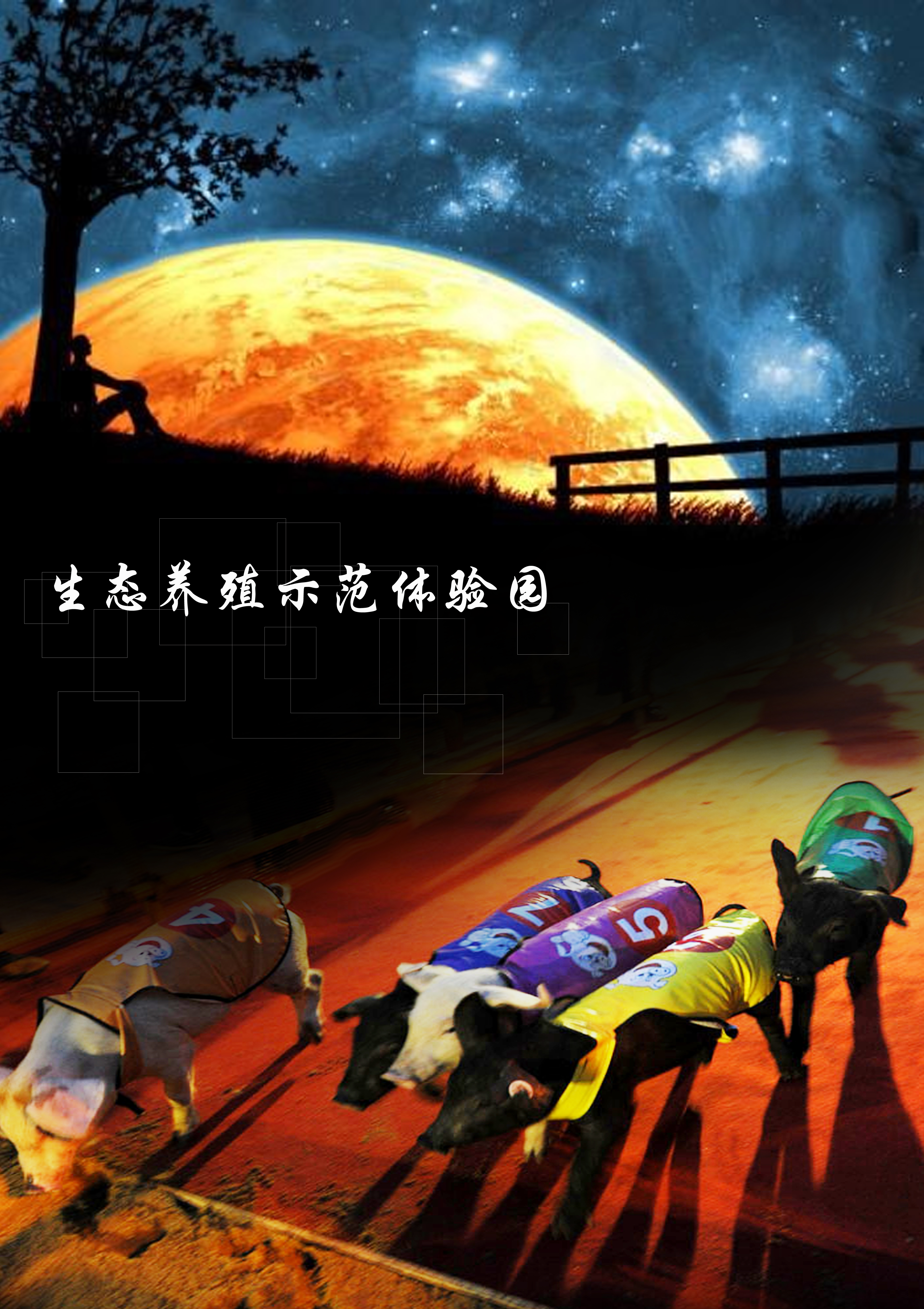 红才煜辉生态养殖体验园——生态修...