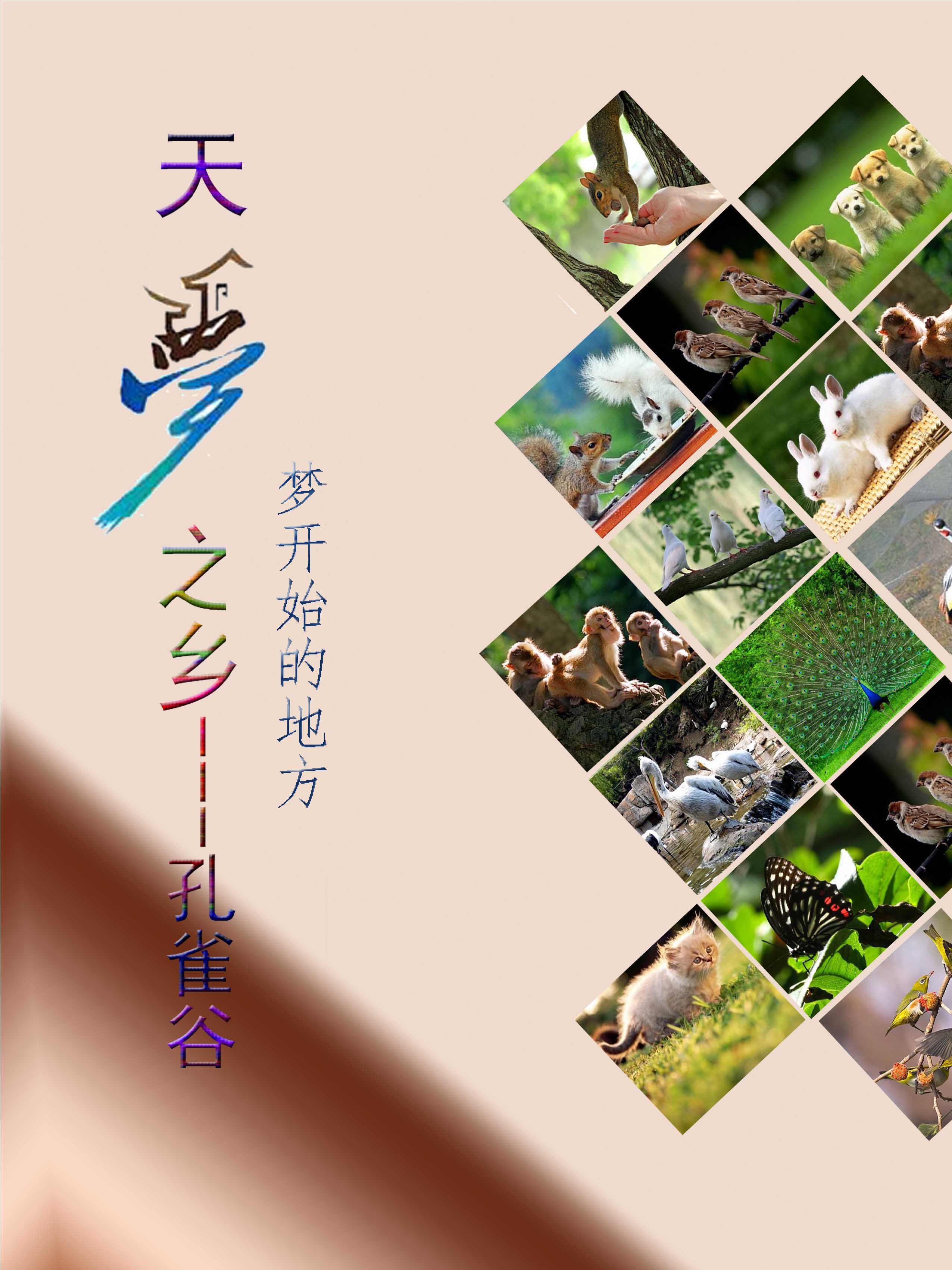 天梦之乡---孔雀谷
