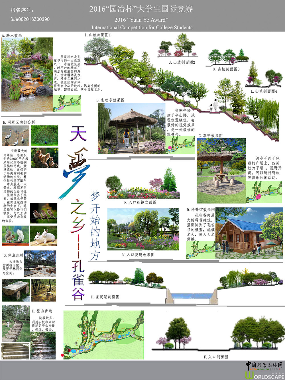 天梦之乡---孔雀谷