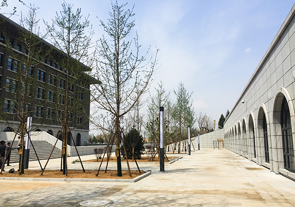 延安市市级行政中心及市民服务中心景观绿化设计
