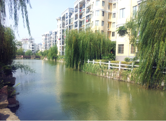 都宝花园景观绿化工程