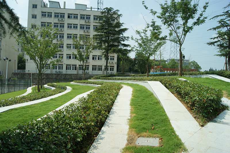安徽警官职业学院校园园林绿化及沥青路面改建工程