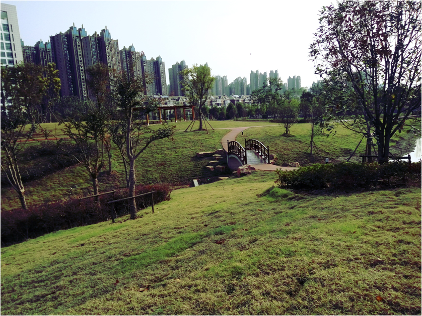 塘西河公园景观（广西路以西）绿化提升工程