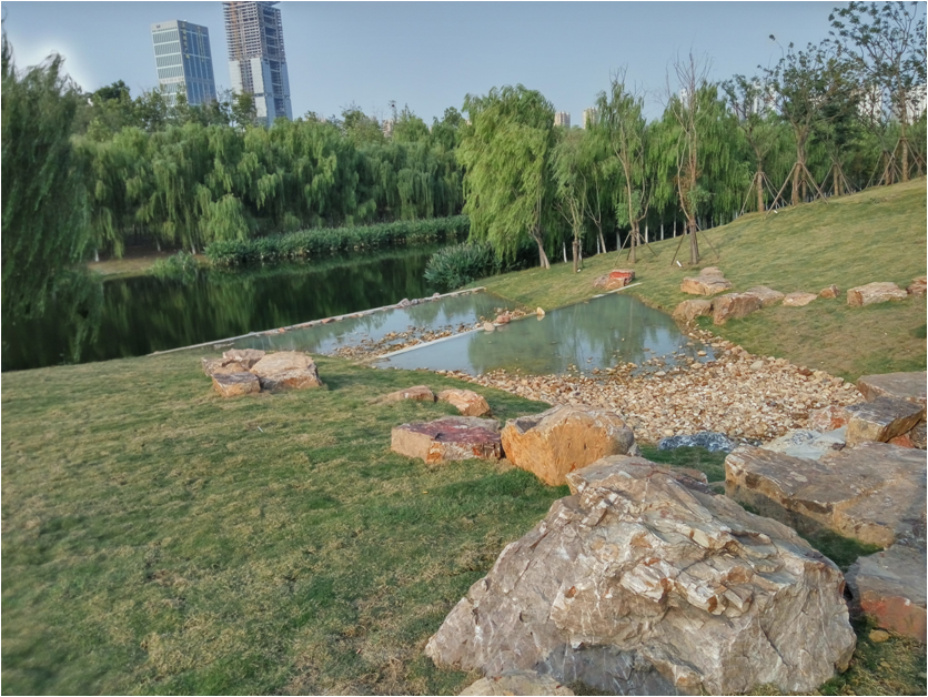塘西河公园景观（广西路以西）绿化提升工程