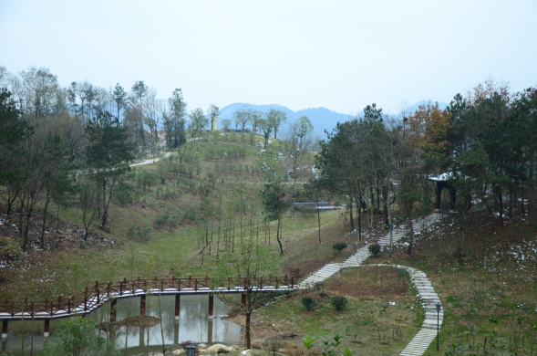 大别山珍稀植物园文峰公园三期