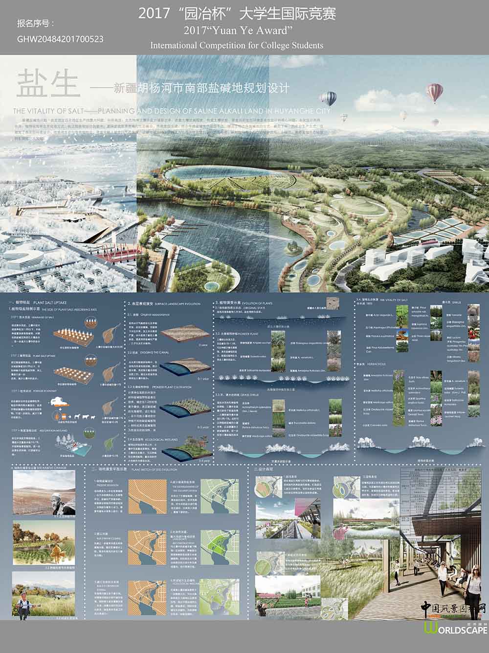 盐生——新疆胡杨市南部盐碱地规划设计