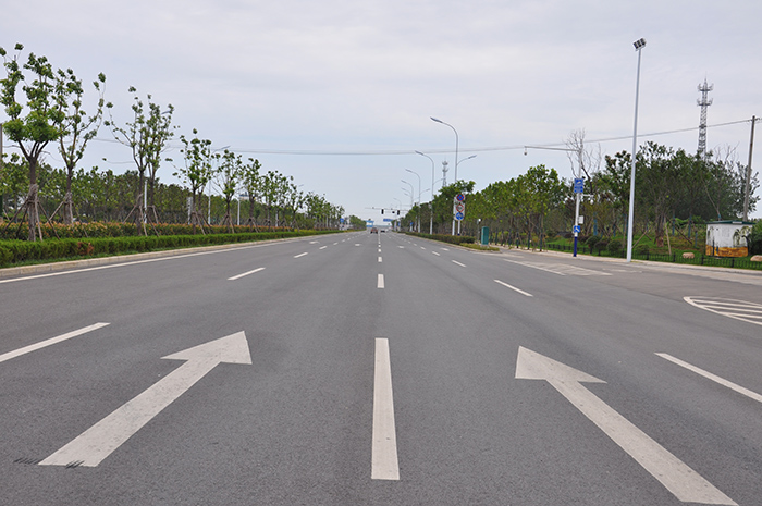 凤麟路（龙湖北路-泉河路）道路绿化工程