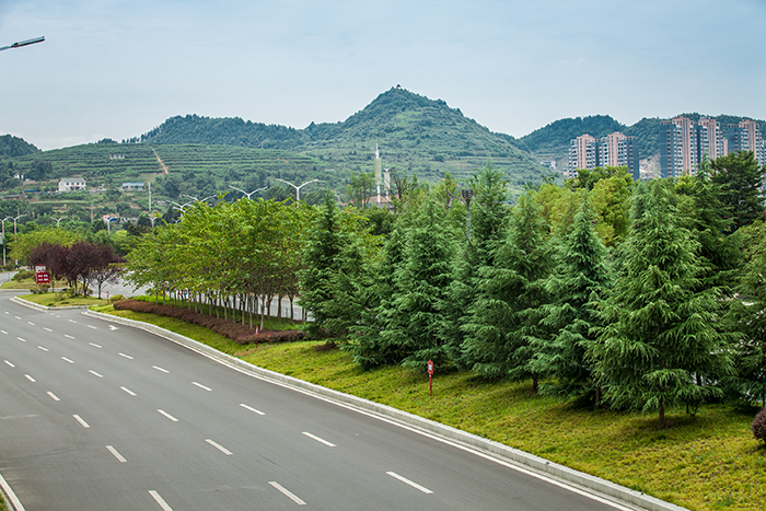 遵义市新薄新区6号路（长征大道）道路景观工程及配套工程