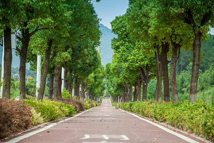 遵义市新薄新区6号路（长征大道）道路景观工程及配套工程