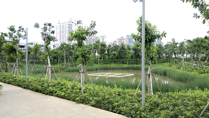 东岸湿地公园项目（施工）