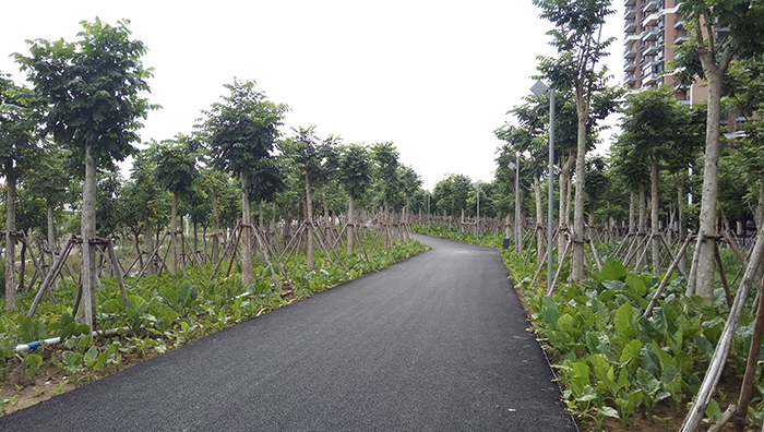 东岸湿地公园项目（施工）