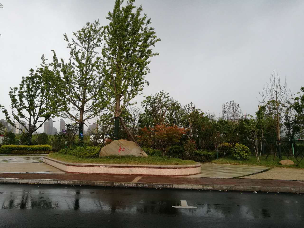 合肥车管服务中心和驾驶人考试中心绿化工程