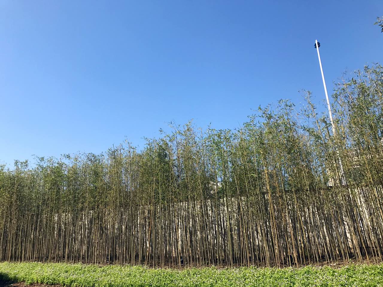 天津誉峰园示范区园林景观工程