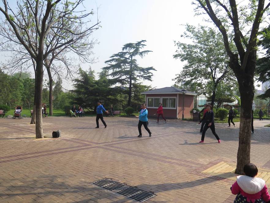 济南花圃公园景观设计