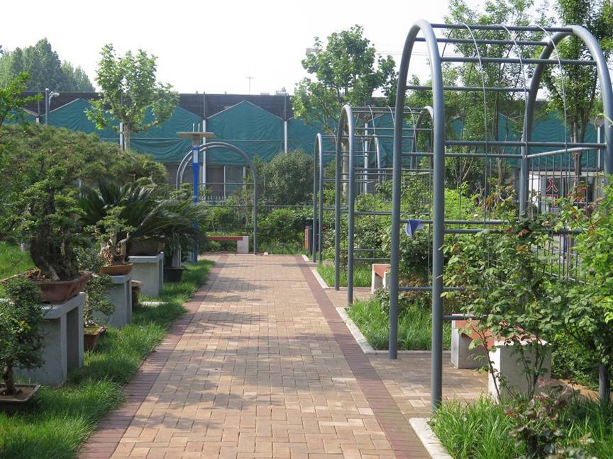 济南花圃公园景观设计