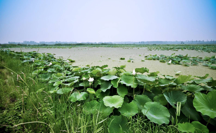 济西国家湿地公园规划