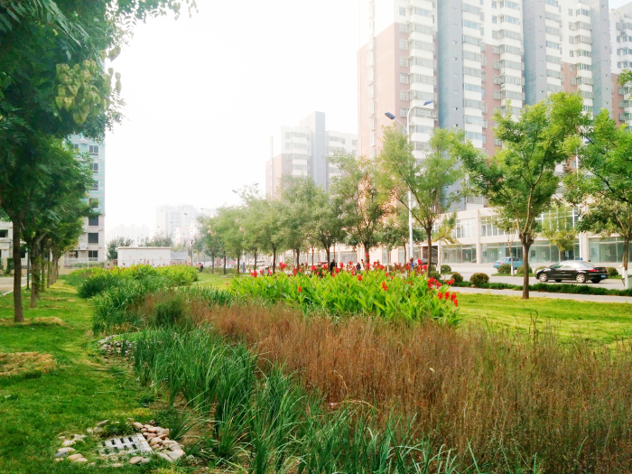 迁安市市政广场西侧公建区雨水综合利用改造工程设计