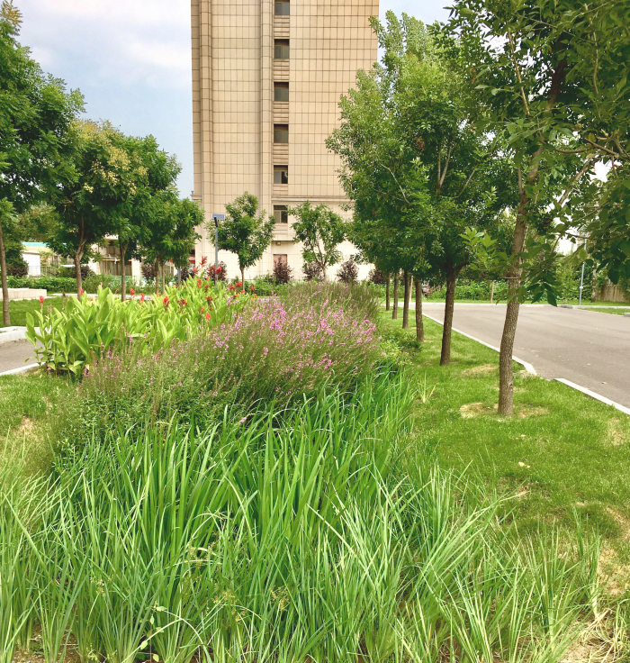 迁安市市政广场西侧公建区雨水综合利用改造工程设计