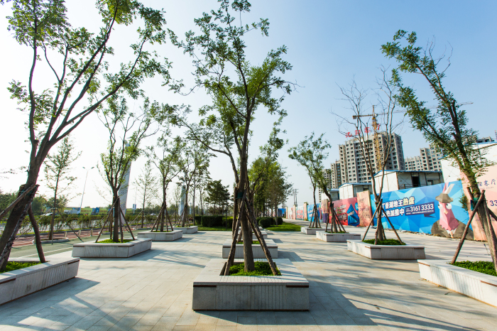 丁香大道景观改造工程设计