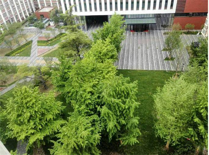 中国航空规划建设发展有限公司科研综合楼项目景观工程
