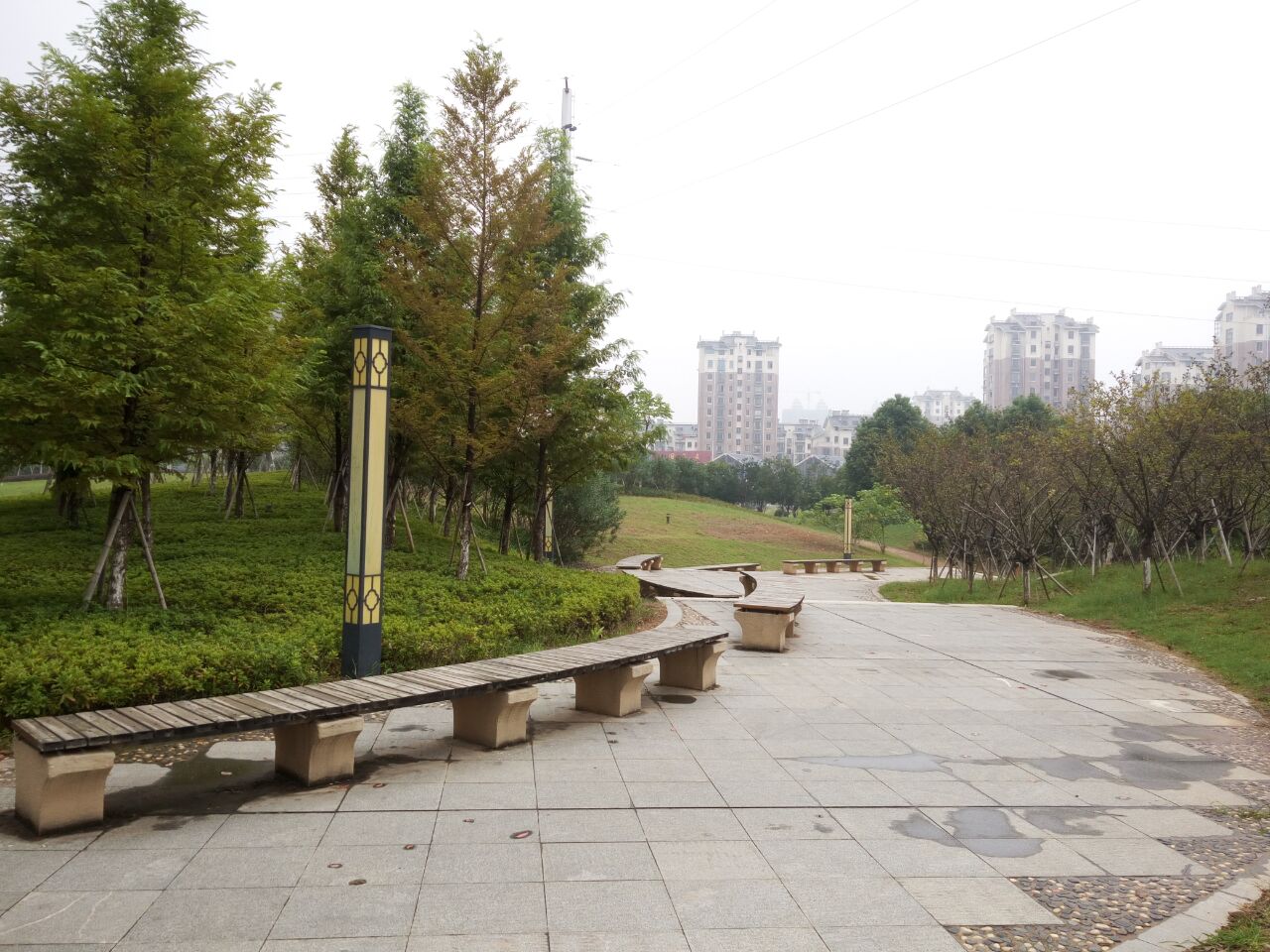凤岗河东路滨河绿化工程