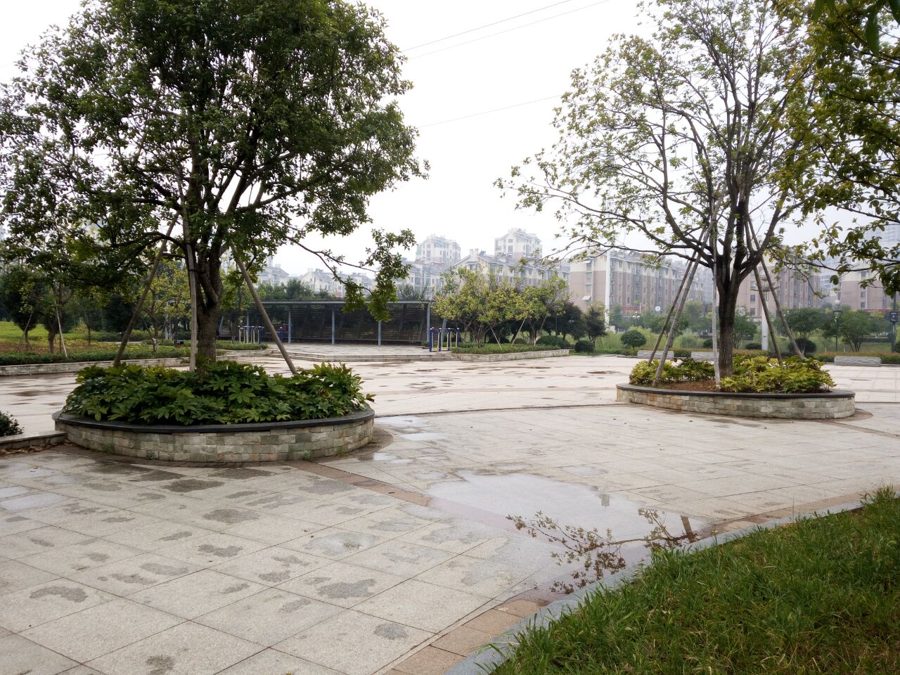 凤岗河东路滨河绿化工程