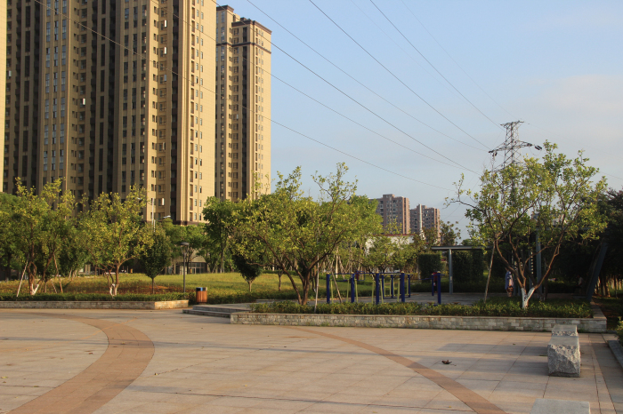 凤岗河东路滨河绿化工程