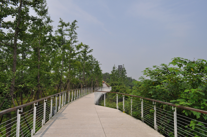 衢州市西区鹿鸣公园景观工程