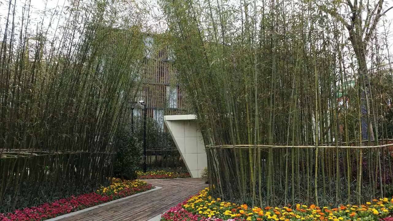祥生云溪新语样板区景观设计