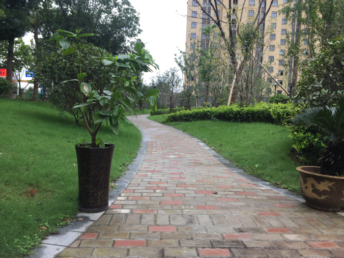 中国烟草总公司合肥设计院科技服务综合楼园建及绿化工程施工