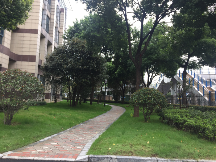 中国烟草总公司合肥设计院科技服务综合楼园建及绿化工程施工