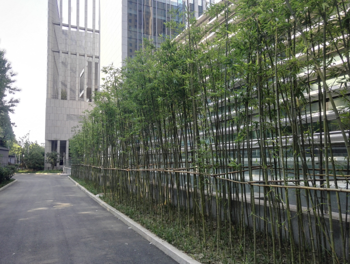 中国烟草总公司合肥设计院科技服务综合楼园建及绿化工程施工