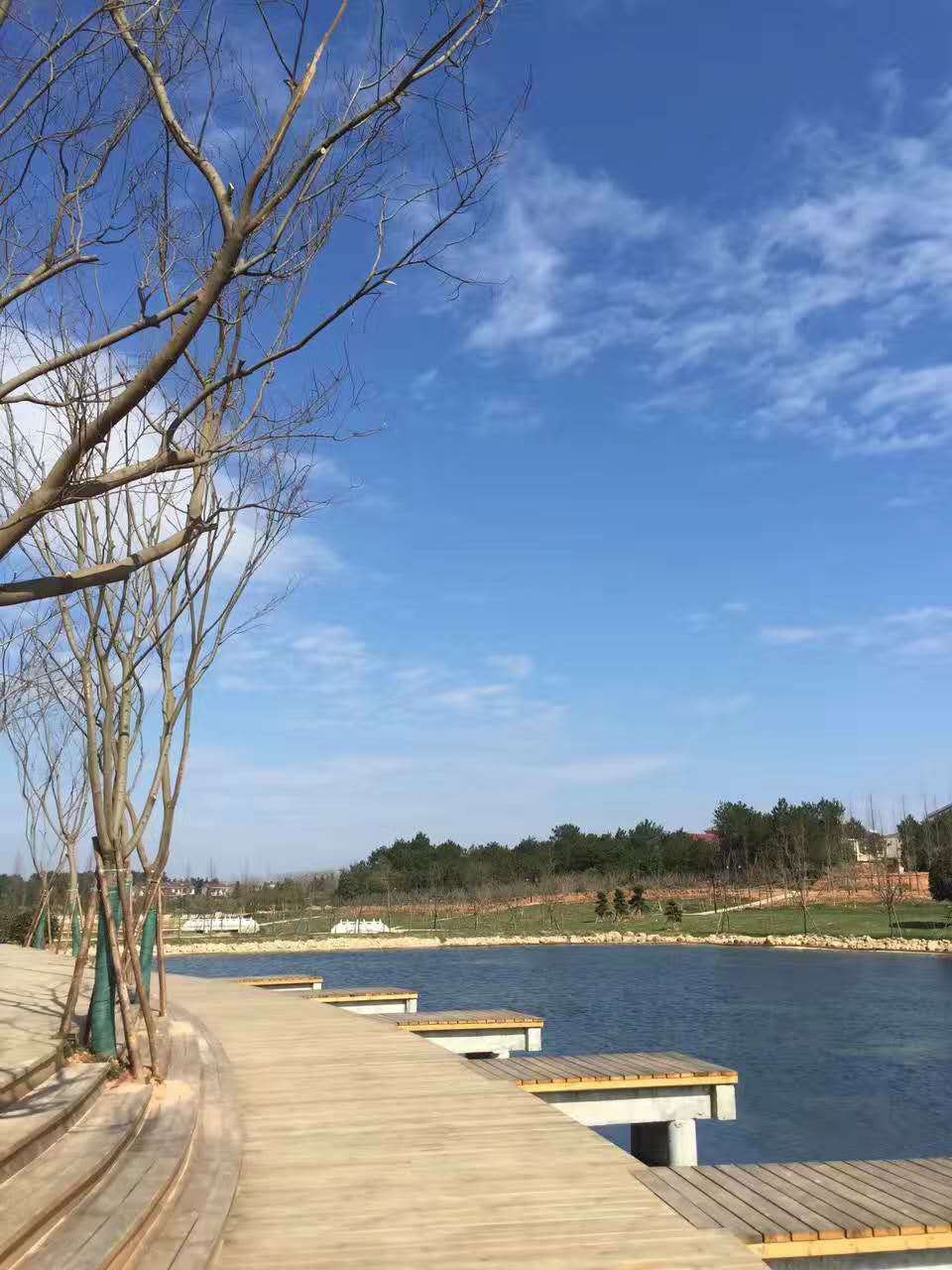 金溪县香樟森林公园景观设计