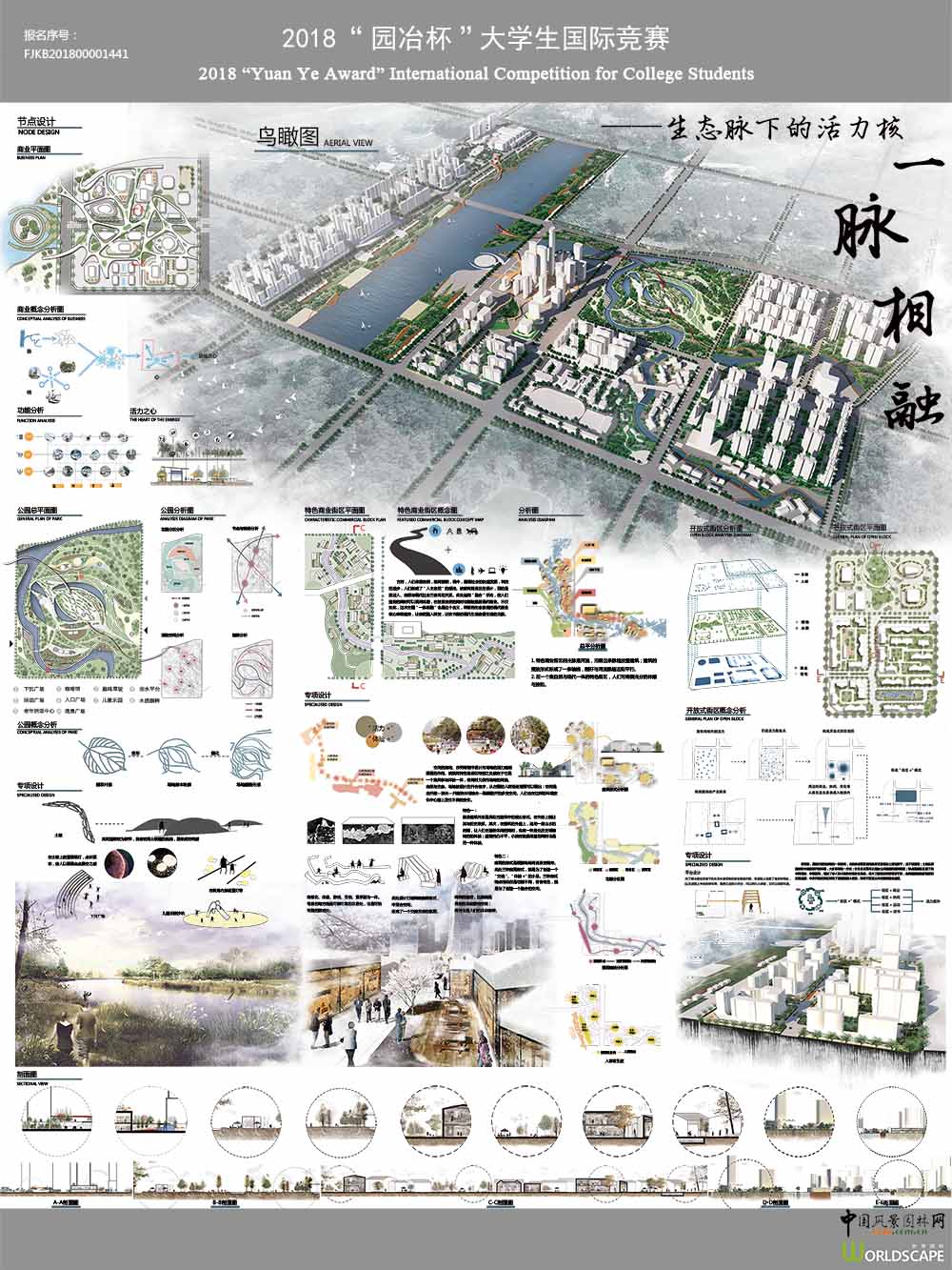一脉相融——生态脉下的活力核