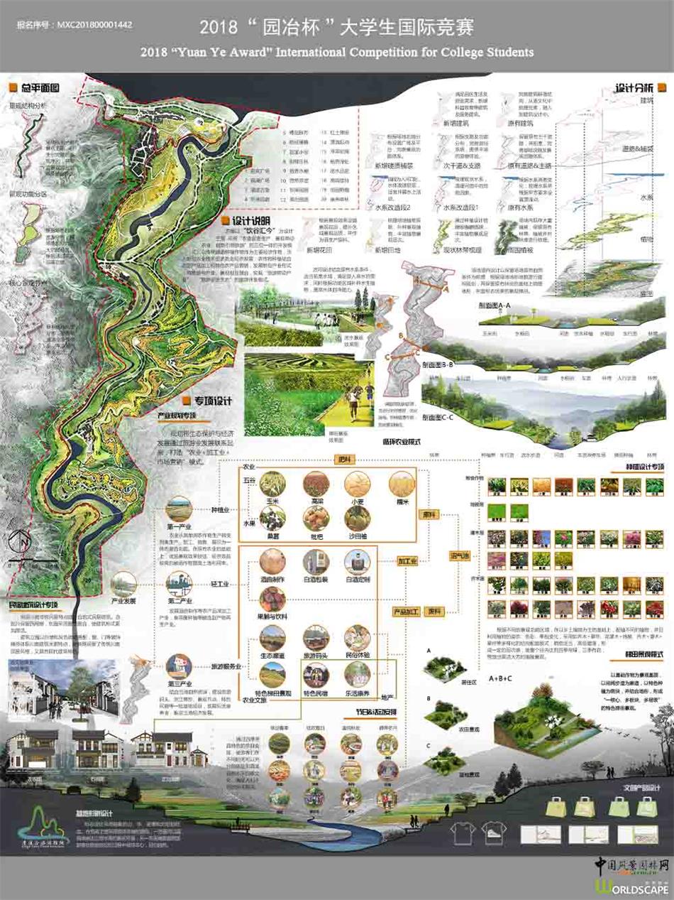 饮谷汇今——泸州市纳溪区清溪谷乡村振兴规划