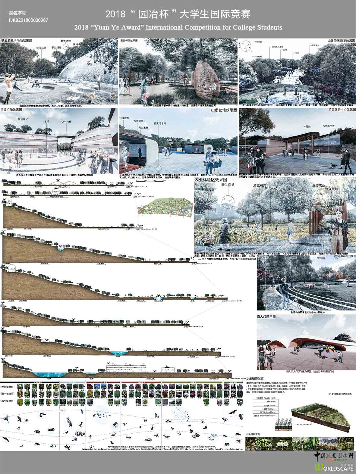 我的飞鹅岭——基于适应自然地形的生态弹性设计