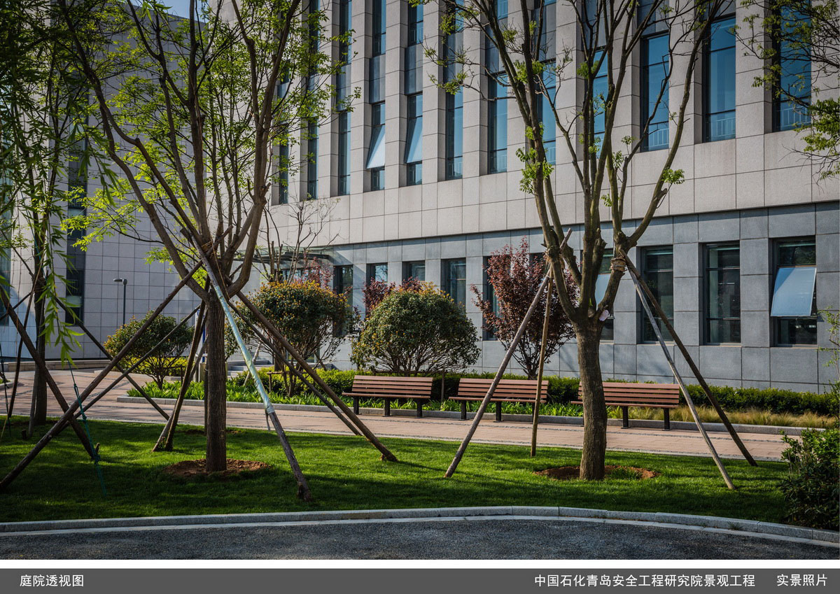 中国石化青岛安全工程研究院景观工程