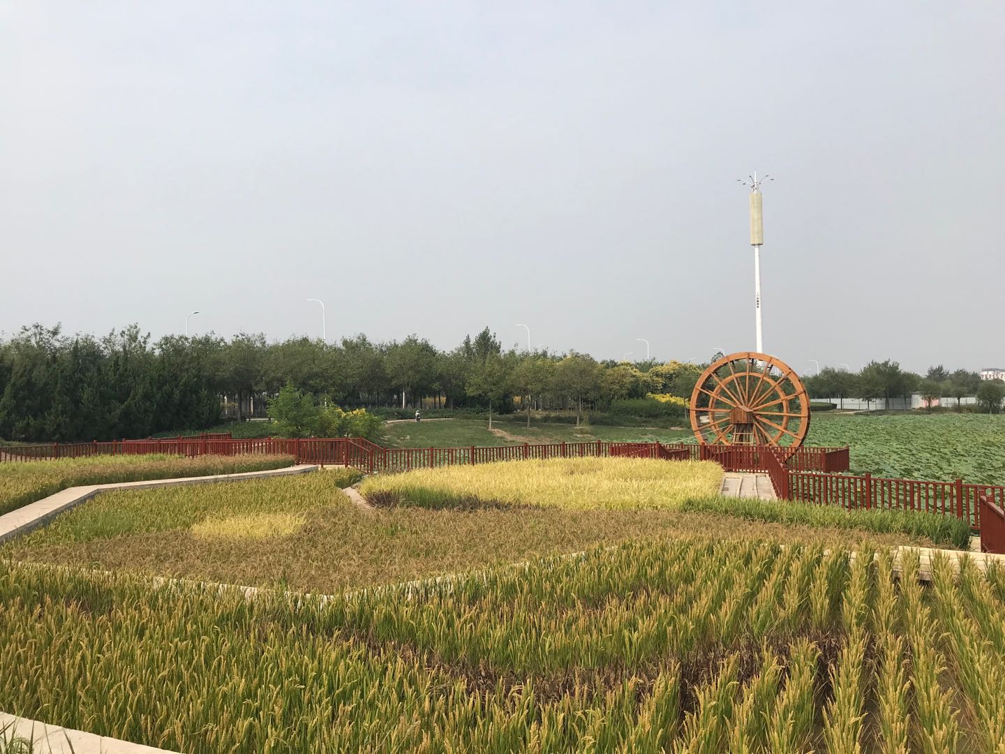 小站稻作文化馆改造及周边配套设施提升工程