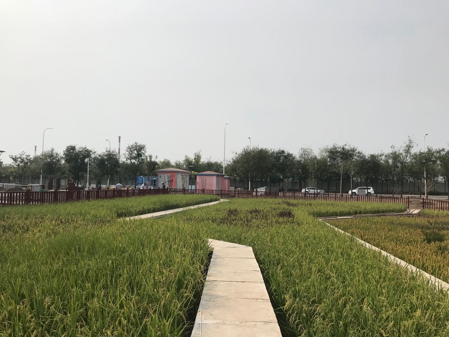 小站稻作文化馆改造及周边配套设施提升工程