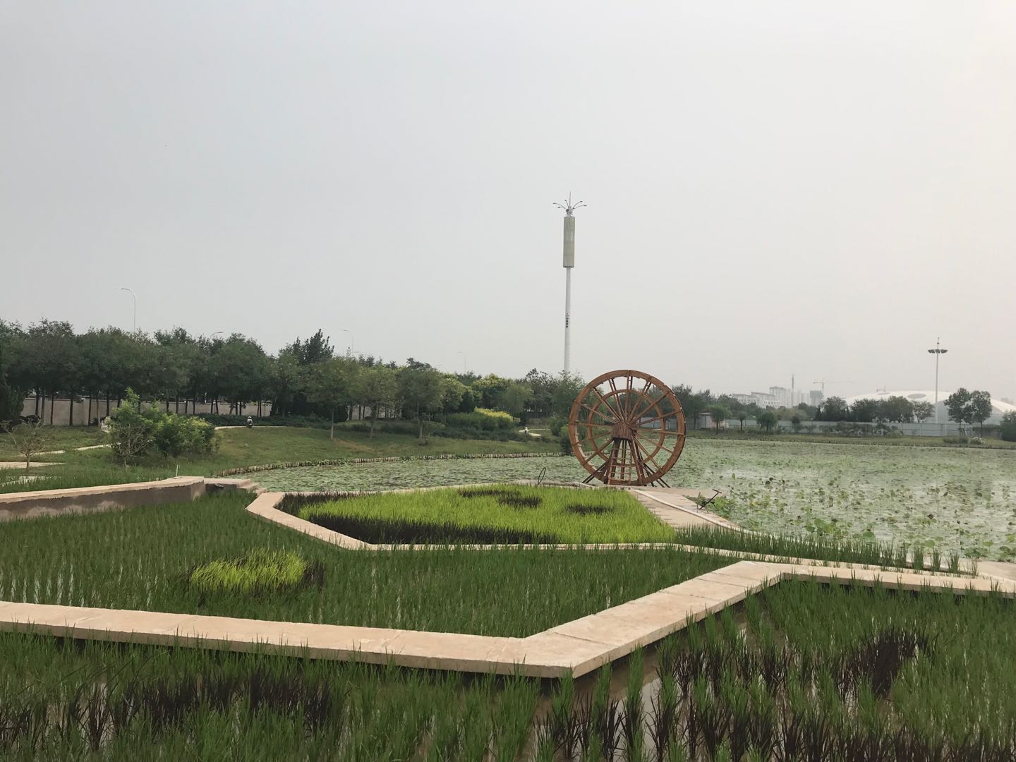 小站稻作文化馆改造及周边配套设施提升工程