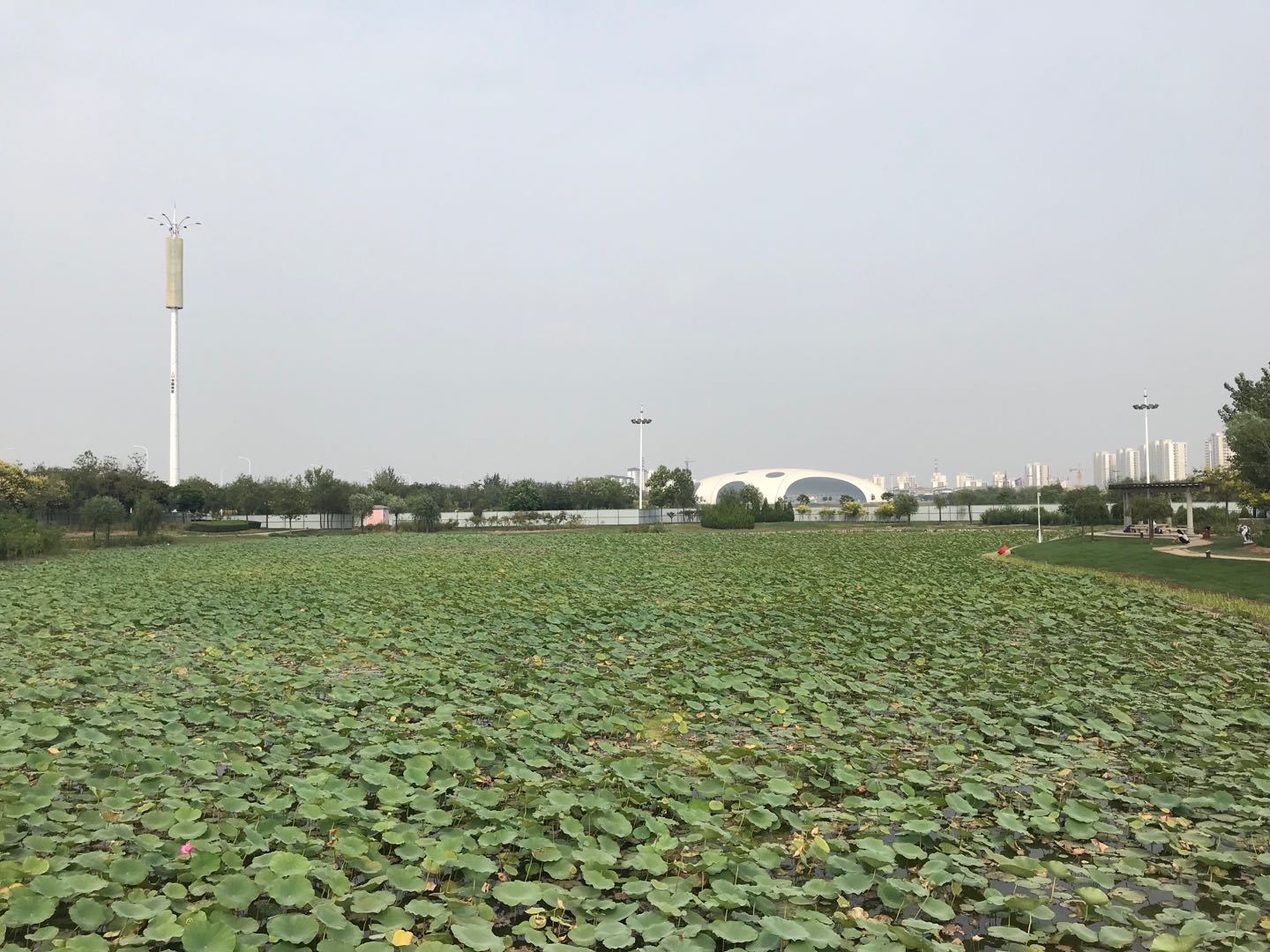 小站稻作文化馆改造及周边配套设施提升工程