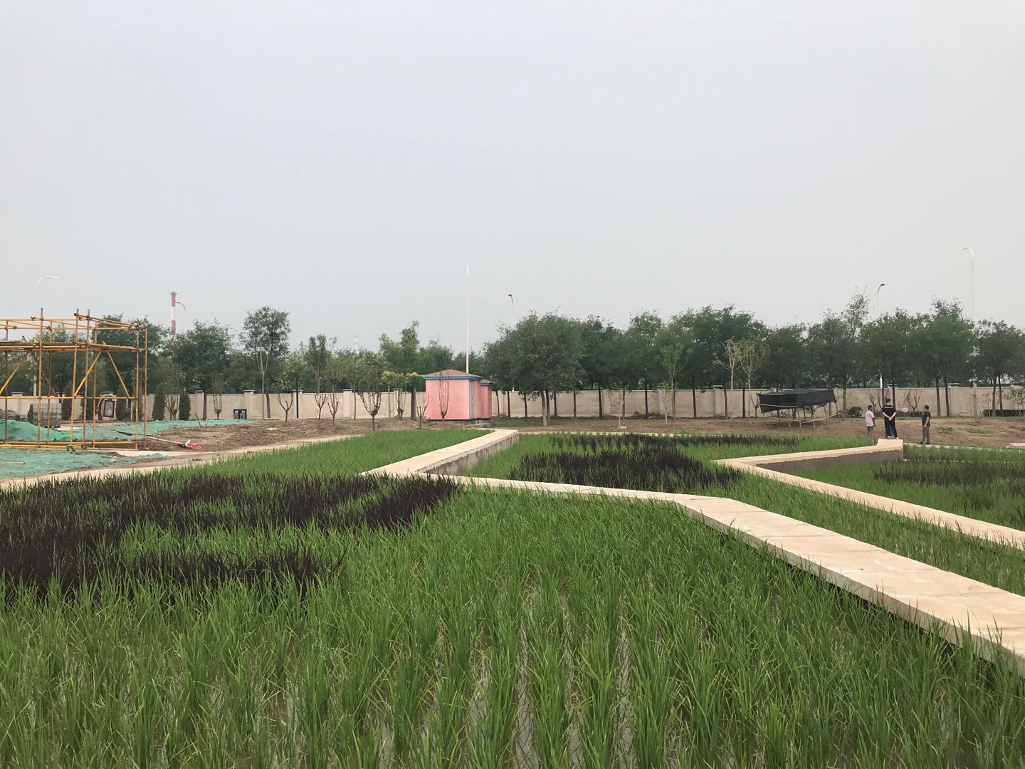 小站稻作文化馆改造及周边配套设施提升工程
