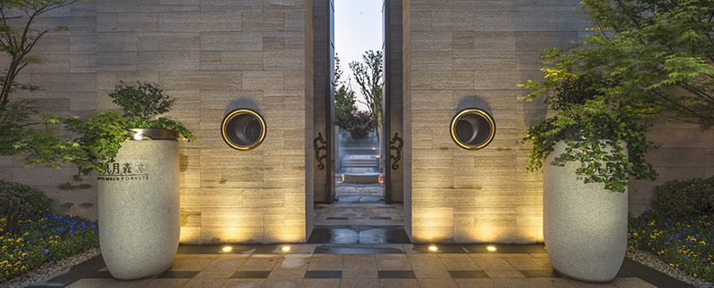 金基·九月森林