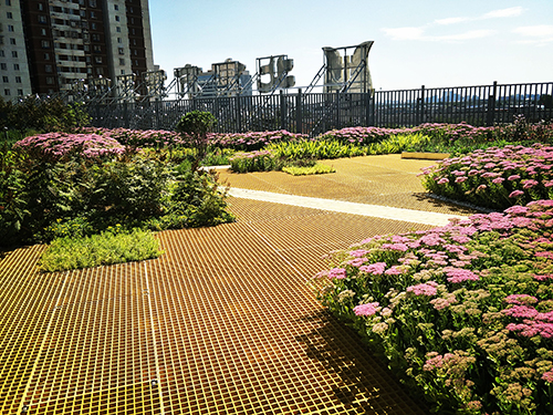 北京工业大学附属中学低碳屋顶花园