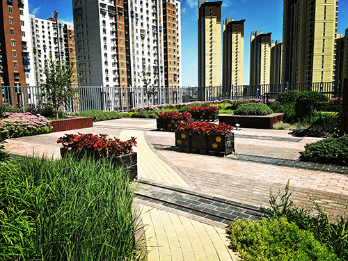 北京工业大学附属中学低碳屋顶花园