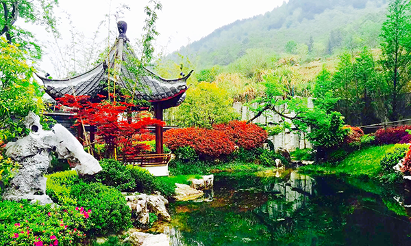 九华山涵月楼酒店及度假村