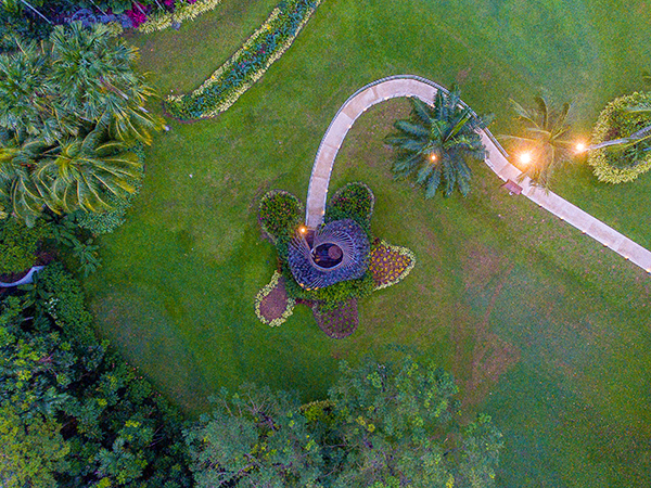 THE ORCHID_EXQUISITE LANDSCAPE