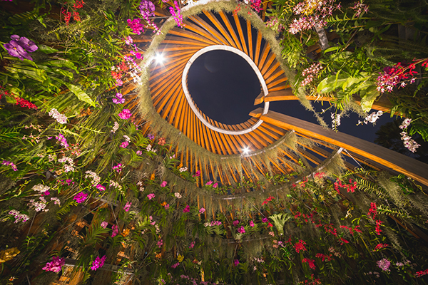 THE ORCHID_EXQUISITE LANDSCAPE